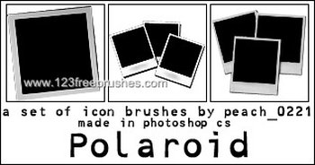 Polaroid Icon