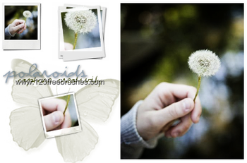 Polaroid Photo Frames 8