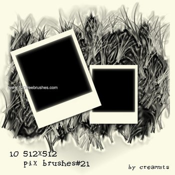 Polaroid Picture Frame