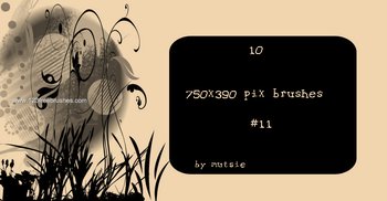 Text Box Design