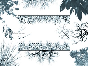 Tree Borders