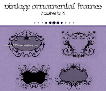 Vintage Ornamental Frame