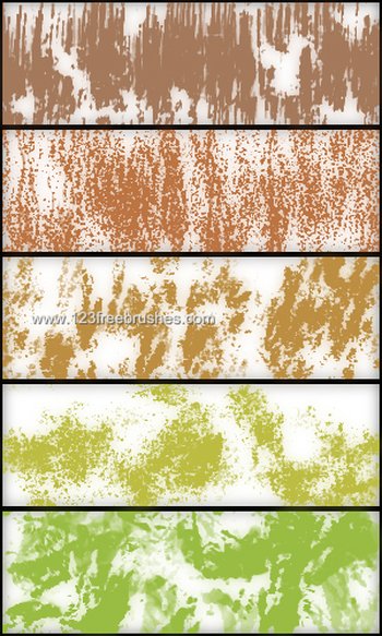 Bark Texture