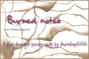 Burned Notes Edges