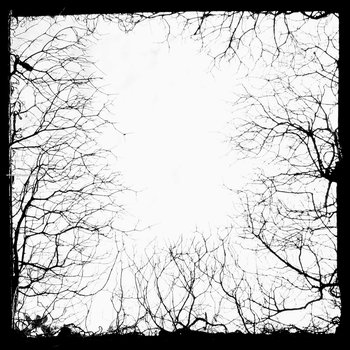 Cadre Tree Branches