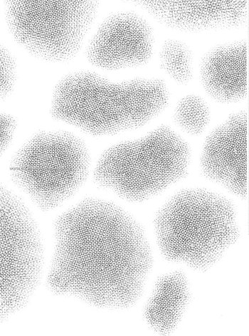 Crosshatch