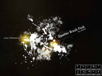 Ink Splatter Paint 14