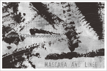 Mascara and Lines
