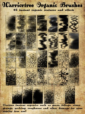 Organic Effects Grunge Grass – Vines – Foliage