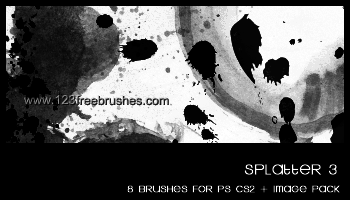 Paint Splatter 66