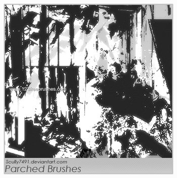 Parched Grunge