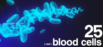 Red Blood Cells