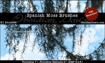 Spanish Moss