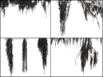 Spanish Moss Set