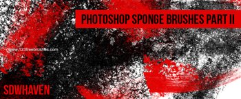 Sponge