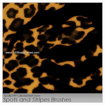 Spots and Stripes