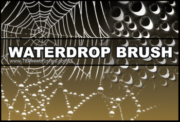 Water Drops