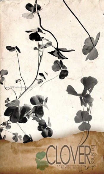 Clover Leaf