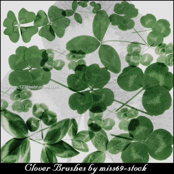 Shamrock