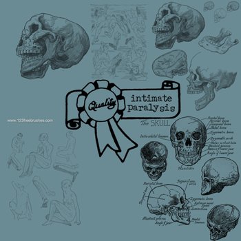 Anatomy