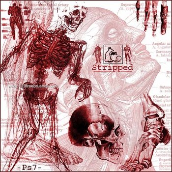 Anatomy
