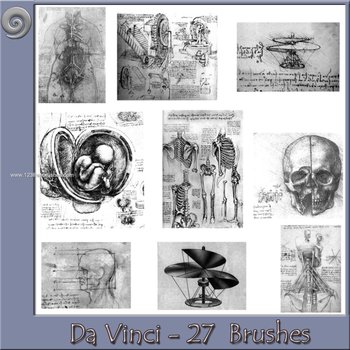 Da Vinci Body Sketches