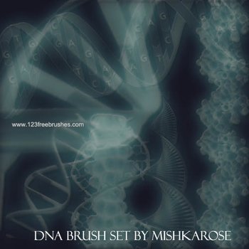 Dna