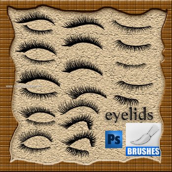 Eyelids