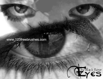 Eyes