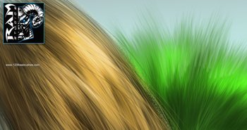 Hair and Fur