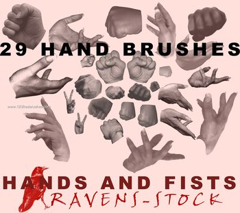Hands and Fists