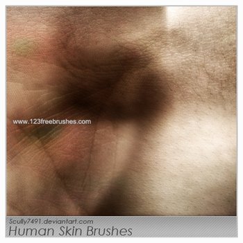 Human Skin
