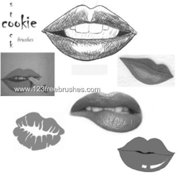 Lip