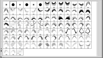 Make Up – Eyebrows