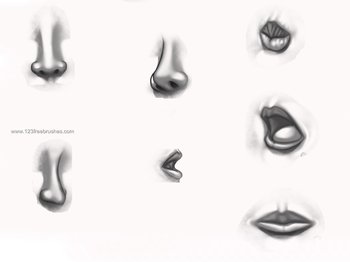 Nose and Mouth