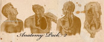Old Anatomy