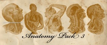 Old Anatomy