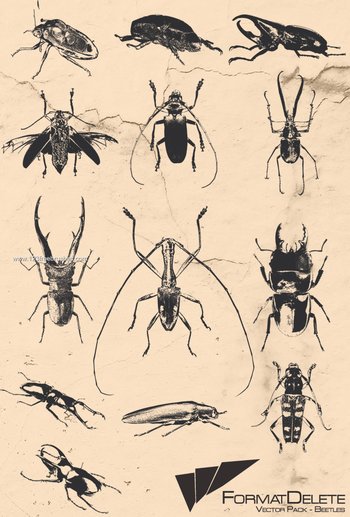 Beetles
