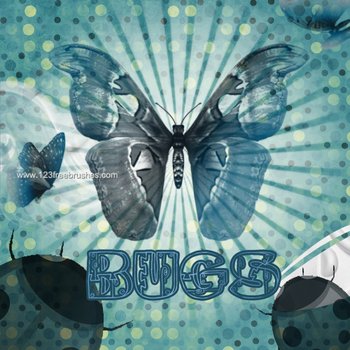 Bug – Butterfly – Ladybird