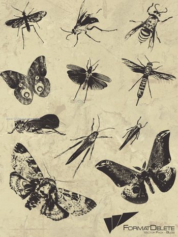 Bug