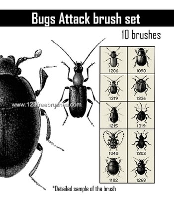 Bug
