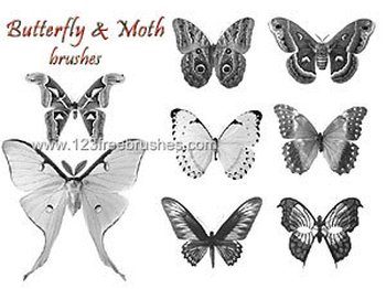 Butterflies
