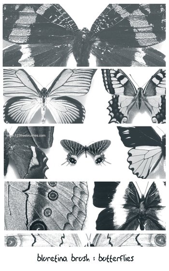 Butterflies