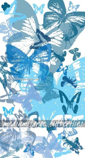 Butterflies