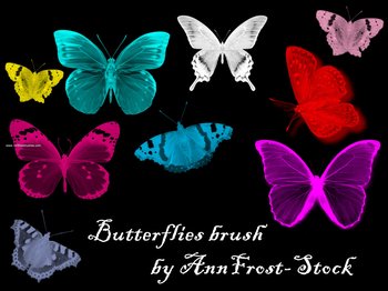 Butterflies