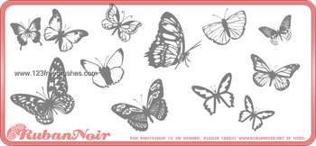 Butterflies
