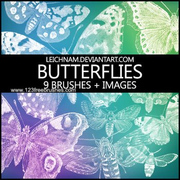 Butterflies