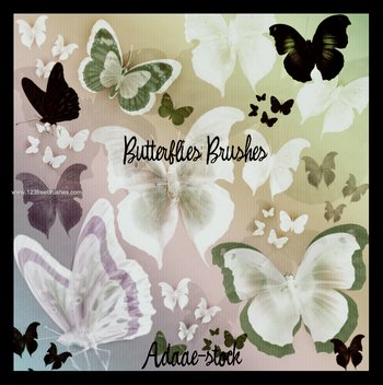 Butterflies