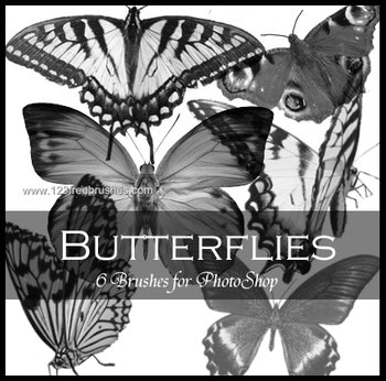 Butterflies