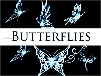 Butterflies